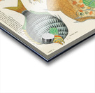 Colourful and surreal illustrations of fishes found in Moluccas Indonesia and the East Indies by Louis Renard 1678 -1746 from Histoire naturelle des plus rares curiositez de la mer des Indes 1754. Acrylic print