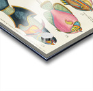 Colourful and surreal illustrations of fishes found in Moluccas Indonesia and the East Indies by Louis Renard 1678 -1746 from Histoire naturelle des plus rares curiositez de la mer des Indes 1754. Acrylic print