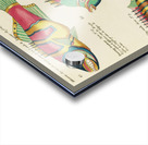 Colourful and surreal illustrations of fishes found in Moluccas Indonesia and the East Indies by Louis Renard 1678 -1746 from Histoire naturelle des plus rares curiositez de la mer des Indes 1754. Acrylic print