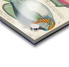 Colourful and surreal illustrations of fishes found in Moluccas Indonesia and the East Indies by Louis Renard 1678 -1746 from Histoire naturelle des plus rares curiositez de la mer des Indes 1754. Impression Acrylique