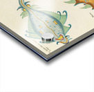 Colourful and surreal illustrations of fishes found in Moluccas Indonesia and the East Indies by Louis Renard 1678 -1746 from Histoire naturelle des plus rares curiositez de la mer des Indes 1754. Acrylic print