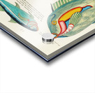 Colourful and surreal illustrations of fishes found in Moluccas Indonesia and the East Indies by Louis Renard 1678 -1746 from Histoire naturelle des plus rares curiositez de la mer des Indes 1754. Acrylic print