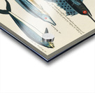 Colourful and surreal illustrations of fishes found in Moluccas Indonesia and the East Indies by Louis Renard 1678 -1746 from Histoire naturelle des plus rares curiositez de la mer des Indes 1754. Acrylic print