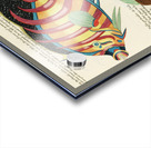 Colourful and surreal illustrations of fishes found in Moluccas Indonesia and the East Indies by Louis Renard 1678 -1746 from Histoire naturelle des plus rares curiositez de la mer des Indes 1754. Impression Acrylique