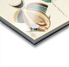 Colourful and surreal illustrations of fishes found in Moluccas Indonesia and the East Indies by Louis Renard 1678 -1746 from Histoire naturelle des plus rares curiositez de la mer des Indes 1754. Acrylic print