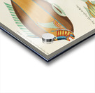 Colourful and surreal illustrations of fishes found in Moluccas Indonesia and the East Indies by Louis Renard 1678 -1746 from Histoire naturelle des plus rares curiositez de la mer des Indes 1754. Acrylic print