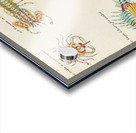 Colourful and surreal illustrations of crabs and lobster found in Moluccas Indonesia and the East Indies by Louis Renard 1678 -1746 from Histoire naturelle des plus rares curiositez de la mer des Indes 1754. Acrylic print