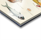 Colourful and surreal illustrations of fishes and lobster found in Moluccas Indonesia and the East Indies by Louis Renard 1678 -1746 from Histoire naturelle des plus rares curiositez de la mer des Indes 1754. Acrylic print