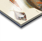 Colourful and surreal illustrations of fishes found in Moluccas Indonesia and the East Indies by Louis Renard 1678 -1746 from Histoire naturelle des plus rares curiositez de la mer des Indes 1754. Acrylic print