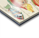 Colourful and surreal illustrations of fishes found in Moluccas Indonesia and the East Indies by Louis Renard 1678 -1746 from Histoire naturelle des plus rares curiositez de la mer des Indes 1754. Acrylic print