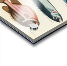 Colourful and surreal illustrations of fishes found in Moluccas Indonesia and the East Indies by Louis Renard 1678 -1746 from Histoire naturelle des plus rares curiositez de la mer des Indes 1754. Impression Acrylique