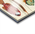 Colourful and surreal illustrations of fishes found in Moluccas Indonesia and the East Indies by Louis Renard 1678 -1746 from Histoire naturelle des plus rares curiositez de la mer des Indes 1754. Acrylic print