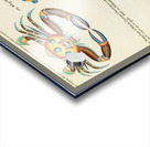 Colourful and surreal illustrations of fishes and crabs found in Moluccas Indonesia and the East Indies by Louis Renard 1678 -1746 from Histoire naturelle des plus rares curiositez de la mer des Indes 1754. Acrylic print