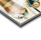 Colourful and surreal illustrations of fishes lobster and crab found in the Indian and Pacific Oceans by Louis Renard 1678 -1746 from Histoire naturelle des plus rares curiositez de la mer des Indes 1754. Acrylic print