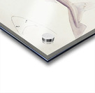 Antique fish myxus elongatus sand mullet South Pacific Fishes by Frank Edward Clarke 1849-1899.  Impression Acrylique