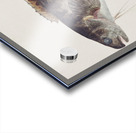 Antique fish bladefish possibly freshwater specimen South Pacific Fishes by Frank Edward Clarke 1849-1899.  Acrylic print