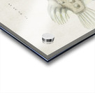 Antique Prickly anglerfish South Pacific Fishes by Frank Edward Clarke 1849-1899.  Acrylic print