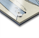 Antique fish Crested Bandfish South Pacific Fishes by Frank Edward Clarke 1849-1899.  Impression Acrylique