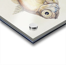 Antique fish Platystethus abbrevatus South Pacific Fishes by Frank Edward Clarke 1849-1899.  Acrylic print