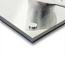 Antique fish Hammerhead Shark South Pacific Fishes by Frank Edward Clarke 1849-1899.  Acrylic print