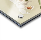 Cattleya mossiæ var reineckiana from Reichenbachia Orchids 1888-1894 illustrated by Frederick Sander 1847-1920.  Acrylic print