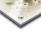 Dendrobium melanodiscus from Reichenbachia Orchids 1888-1894 illustrated by Frederick Sander 1847-1920.  Acrylic print