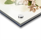 Cattleya brieniana from Reichenbachia Orchids 1888-1894 illustrated by Frederick Sander 1847-1920.  Acrylic print