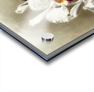 Lælio-cattleya elegans var blenheimensis from Reichenbachia Orchids 1888-1894 illustrated by Frederick Sander 1847-1920.  Acrylic print