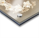 Odontoglossum crispum from Reichenbachia Orchids 1888-1894 by Frederick Sander 1847-1920.  Acrylic print