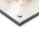 Cattleya amethystoglossa from Reichenbachia Orchids 1888-1894 illustrated by Frederick Sander 1847-1920.  Acrylic print