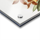 Odontoglossum insleayi splendens from Reichenbachia Orchids 1888-1894 illustrated by Frederick Sander 1847-1920.  Acrylic print