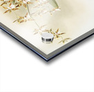 Odontoglossum sanderianum from Reichenbachia Orchids 1888-1894 illustrated by Frederick Sander 1847-1920.  Acrylic print