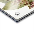 Oncidium lanceanum from Reichenbachia Orchids 1888-1894 illustrated by Frederick Sander 1847-1920.  Acrylic print