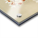 Phaius tuberculosus from Reichenbachia Orchids 1888-1894 illustrated by Frederick Sander 1847-1920.  Acrylic print