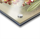 Odontoglossum harryanum from Reichenbachia Orchids 1888-1894 illustrated by Frederick Sander 1847-1920.  Acrylic print