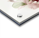 Cattleya labiata warneri from Reichenbachia Orchids 1888-1894 illustrated by Frederick Sander 1847-1920.  Acrylic print