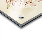 Odontoglossum pescatorei from Reichenbachia Orchids 1888-1894 illustrated by Frederick Sander 1847-1920.  Acrylic print