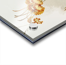 Oncidium kramerianum from Reichenbachia Orchids 1888-1894 illustrated by Frederick Sander 1847-1920.  Acrylic print