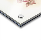 Cypripedium tautzianum from Reichenbachia Orchids 1888-1894 illustrated by Frederick Sander 1847-1920.  Acrylic print