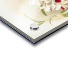 Dendrobium leechianum from Reichenbachia Orchids 1888-1894 illustrated by Frederick Sander 1847-1920.  Acrylic print