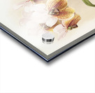 Vanda sanderiana from Reichenbachia Orchids 1888-1894 illustrated by Frederick Sander 1847-1920.  Acrylic print