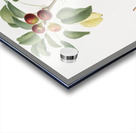 Musky pear Pyrus sativa from Pomona Italiana 1817 - 1839 by Giorgio Gallesio 1772-1839.  Acrylic print