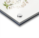 Pear tree flowers Pyrus calleryana from Pomona Italiana 1817 - 1839 by Giorgio Gallesio 1772-1839.  Acrylic print