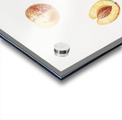 Nectarine Malus persica hybrida from Pomona Italiana 1817 - 1839 by Giorgio Gallesio 1772-1839.  Acrylic print