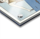 Costumes Parisiens: Costume de bain 1913 fashion illustration  by George Barbier.  Acrylic print