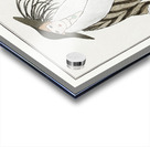 Costumes Parisiens: Manteau de Zibelin 1912 fashion illustration  by George Barbier.  Acrylic print