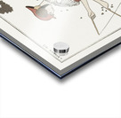 Costumes Parisiens: Robe de linon imprim&eacute from Journal des Dames et des Modes 1913 fashion illustration  by George Barbier.  Acrylic print