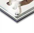 Vesper / Robes du soir de Worth from Gazette du Bon Ton No. 8 1922 fashion illustration  by George Barbier.  Acrylic print