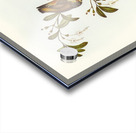 Red-lored Pardalote Pardalotus rubricatus illustrated by Elizabeth Gould 1804–1841 for John Gould’s 1804-1881 Birds of Australia  Acrylic print