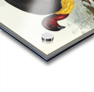 Brush turkey Talegalla Lathamii illustrated by Elizabeth Gould 1804–1841 for John Gould’s 1804-1881 Birds of Australia  Acrylic print